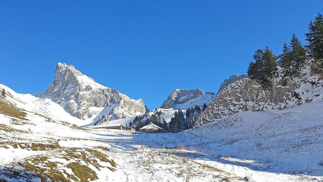 L'Ourserie Bed & Breakfast Saint-Paul-en-Chablais Quarto foto