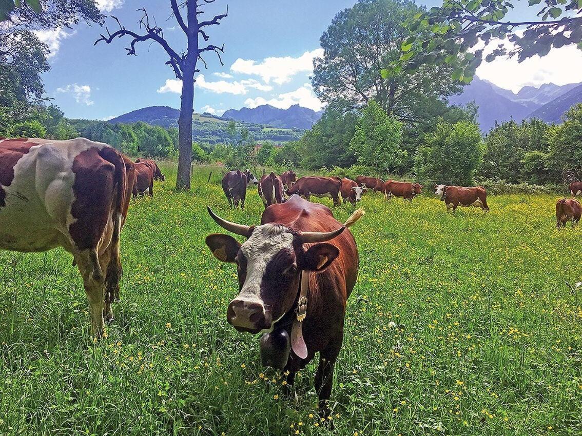 L'Ourserie Bed & Breakfast Saint-Paul-en-Chablais Quarto foto